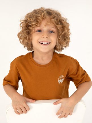 تی شرت پسرانه نارگیلی یو اس پولو