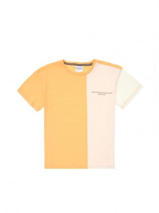 تی شرت پسرانه خربزه ای یو اس پولو