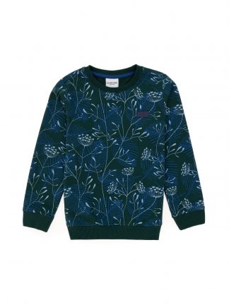 سویشرت پسرانه سبز تیره یو اس پولو