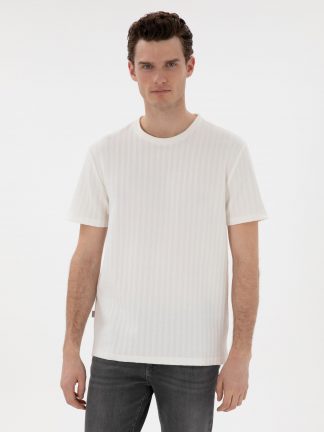 تی شرت مردانه بژ پیرکاردین