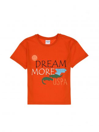 تی شرت پسرانه گل انار یو اس پولو