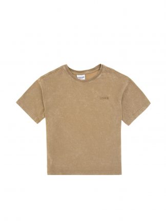 تی شرت پسرانه خاکی روشن یو اس پولو