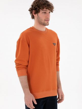 سویشرت مردانه دارچینی یو اس پولو