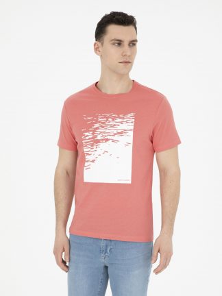 تی شرت مردانه مرجانی پیرکاردین