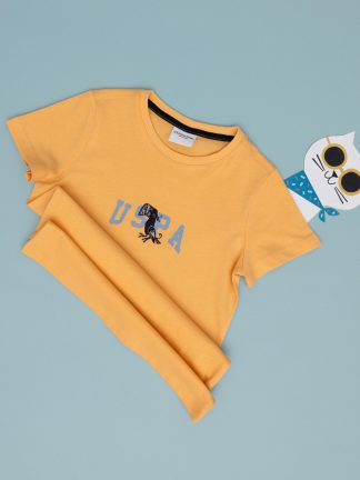 تی شرت پسرانه خربزه ای یو اس پولو