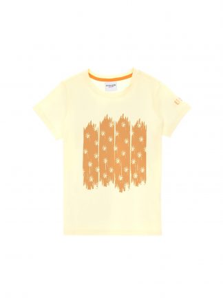 تی شرت پسرانه لیمویی یو اس پولو