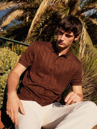 پولوشرت مردانه قهوه ای دفکتو