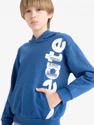 سویشرت پسرانه نیلی دفکتو