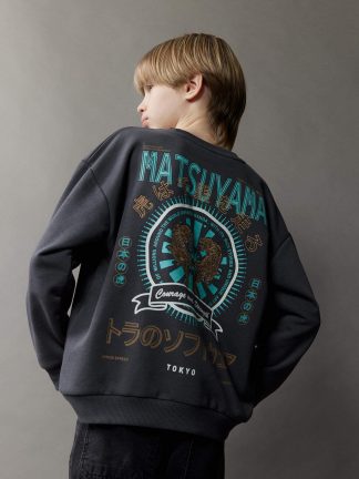 سویشرت پسرانه خاکستری تیره دفکتو