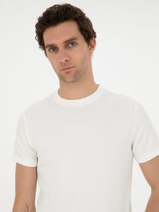 تی شرت مردانه سفید کاشارل