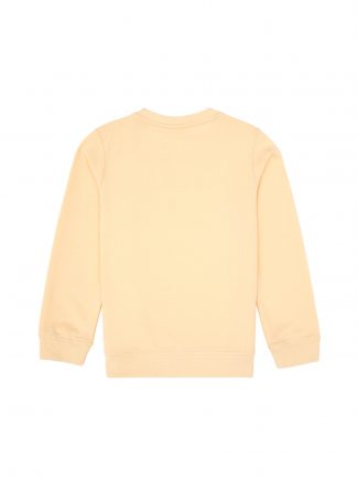 سویشرت پسرانه یاسی یو اس پولو