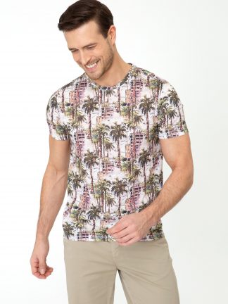 تی شرت مردانه خاکی روشن کاشارل