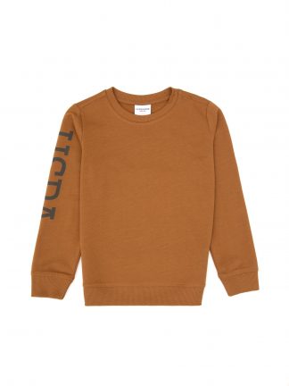 سویشرت پسرانه یو اس پولو