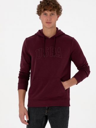 هودی مردانه آلو یو اس پولو