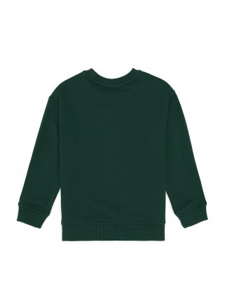 سویشرت پسرانه سبز تیره یو اس پولو