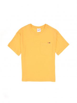 تی شرت پسرانه یو اس پولو