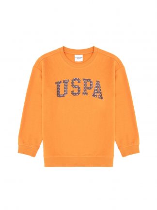 سویشرت پسرانه یو اس پولو