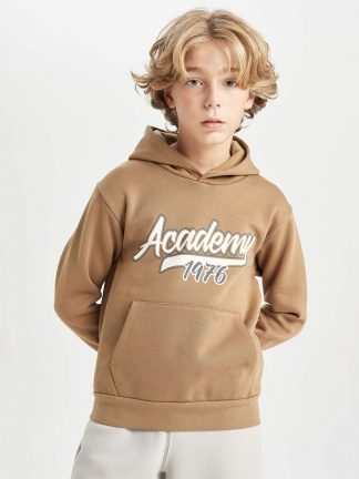 هودی پسرانه قهوه ای دفکتو