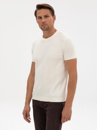 تی شرت مردانه بژ پیرکاردین