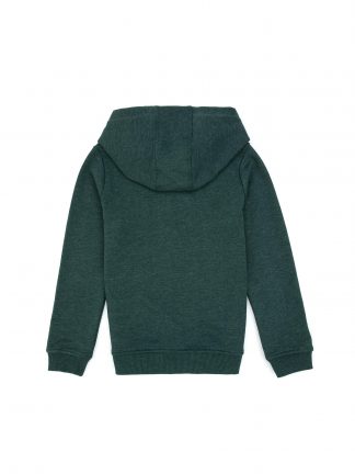 هودی پسرانه سبز تیره یو اس پولو