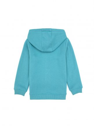 هودی پسرانه نعنایی تیره یو اس پولو