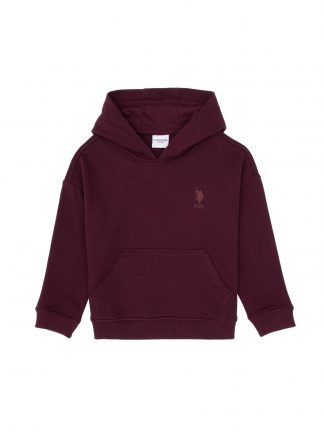 هودی پسرانه آلو یو اس پولو تصویر ۱