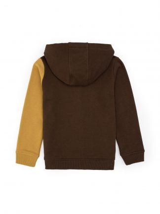 هودی پسرانه قهوه ای یو اس پولو