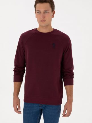 سویشرت مردانه آلو یو اس پولو