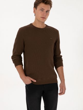 سویشرت مردانه قهوه ای یو اس پولو