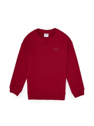 سویشرت پسرانه یو اس پولو