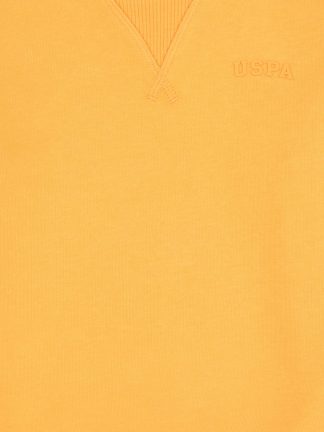 سویشرت پسرانه یو اس پولو