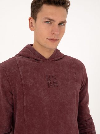 هودی مردانه آلو یو اس پولو