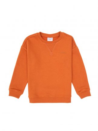 سویشرت پسرانه یو اس پولو