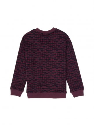 سویشرت پسرانه آلو یو اس پولو